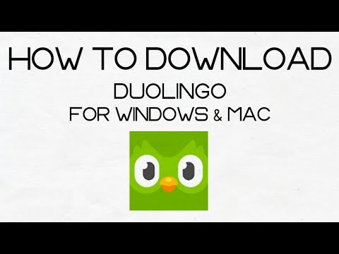 Duolingo windows download
